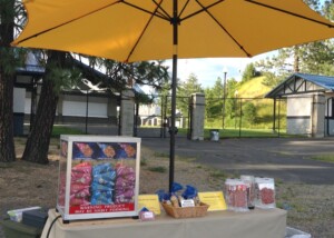 Joe Albi Stadium Movie Night 2016