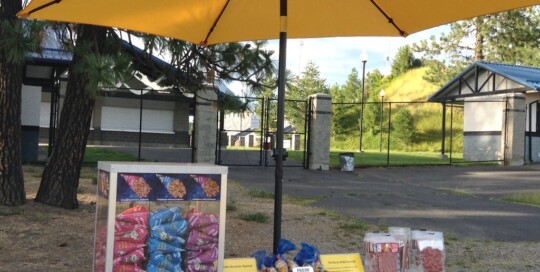 Joe Albi Stadium Movie Night 2016