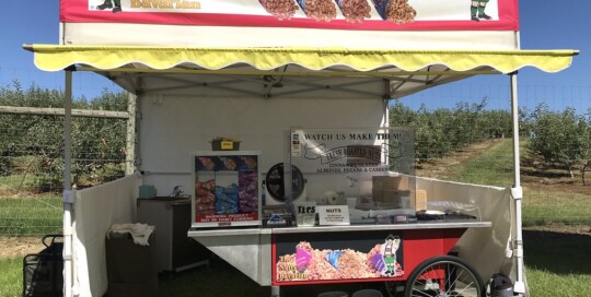 Peach Festival at Beck's Harvest House 2019